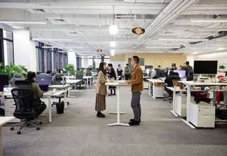 宁波哈巴西皮带价格